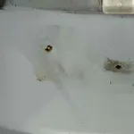 HAION MAZDA 6 2012-2016 oe-GHY06202XA, vedere laterala