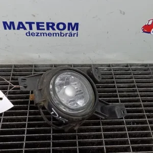 HALOGEN DREAPTA
