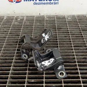 BALAMA USA SPATE