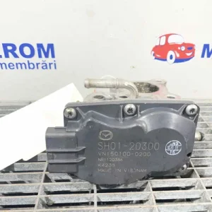 SUPAPA EGR