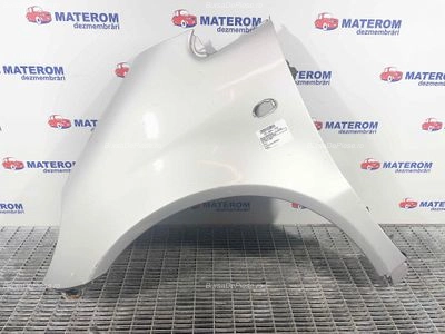 ARIPA FATA STANGA