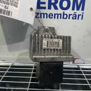 RELEU BUJII