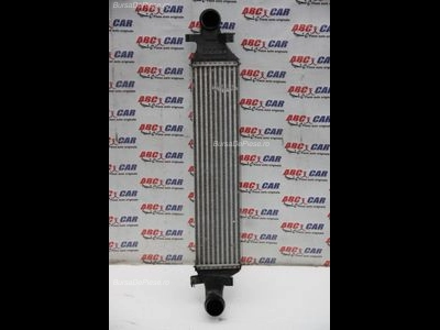 Radiator intercooler
