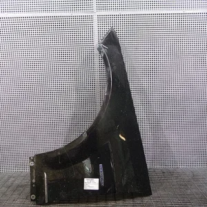ARIPA FATA STANGA