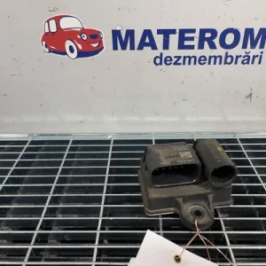 RELEU BUJII