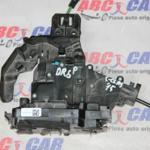 Broasca usa dreapta spate