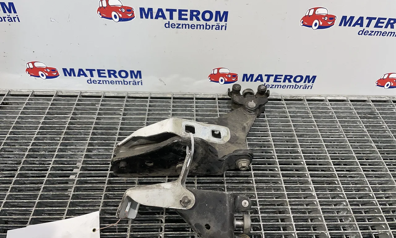ROLA USA CULISANTA MERCEDES CITAN 2012-2021