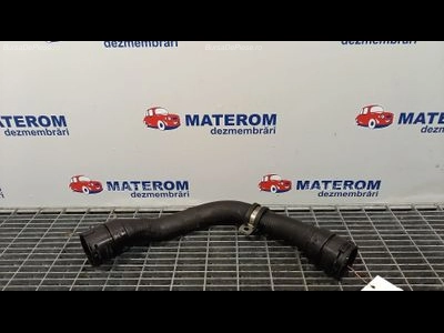 FURTUN APA