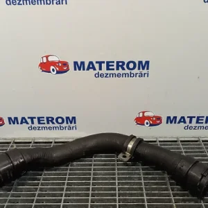 FURTUN APA