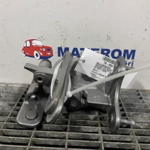 BALAMA USA SPATE