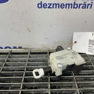 MOTORAS