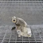 SUPORT MOTOR DREAPTA MERCEDES CLS 3.0 CDI 2004-2011 oe-A6422230104, vedere frontata