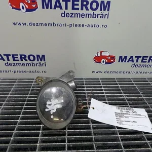 HALOGEN DREAPTA