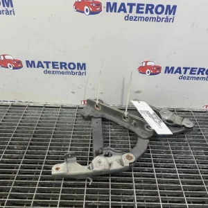 BALAMALE CAPOTA FATA