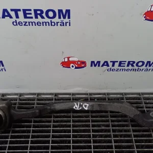 BRAT FATA INFERIOR DREAPTA