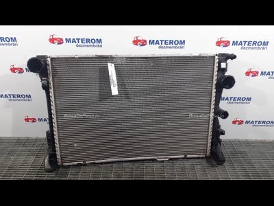 RADIATOR MOTOR