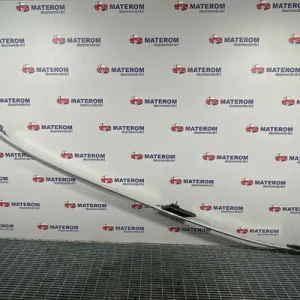 BARE PAVILION