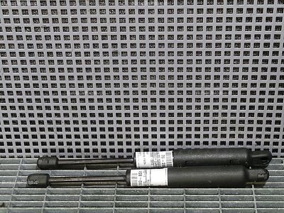 TELESCOP CAPOTA FATA