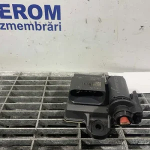 RELEU BUJII