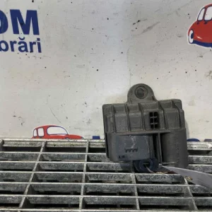 RELEU BUJII