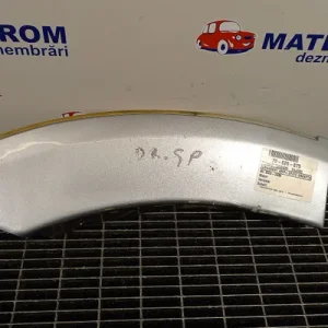 ORNAMENT ARIPA SPATE DREAPTA