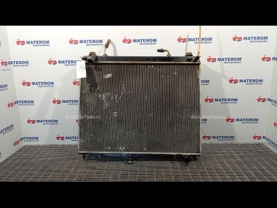 RADIATOR MOTOR