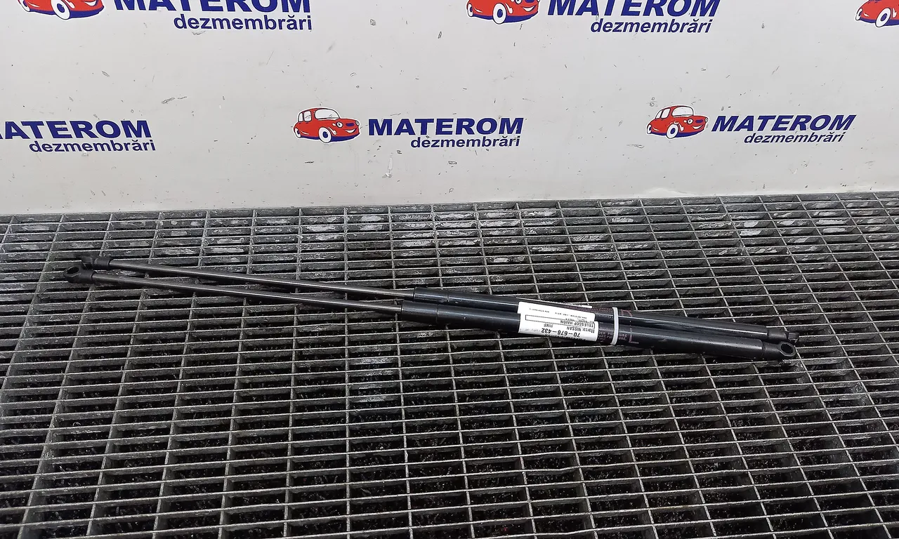 TELESCOP HAION NISSAN JUKE 2010-2019