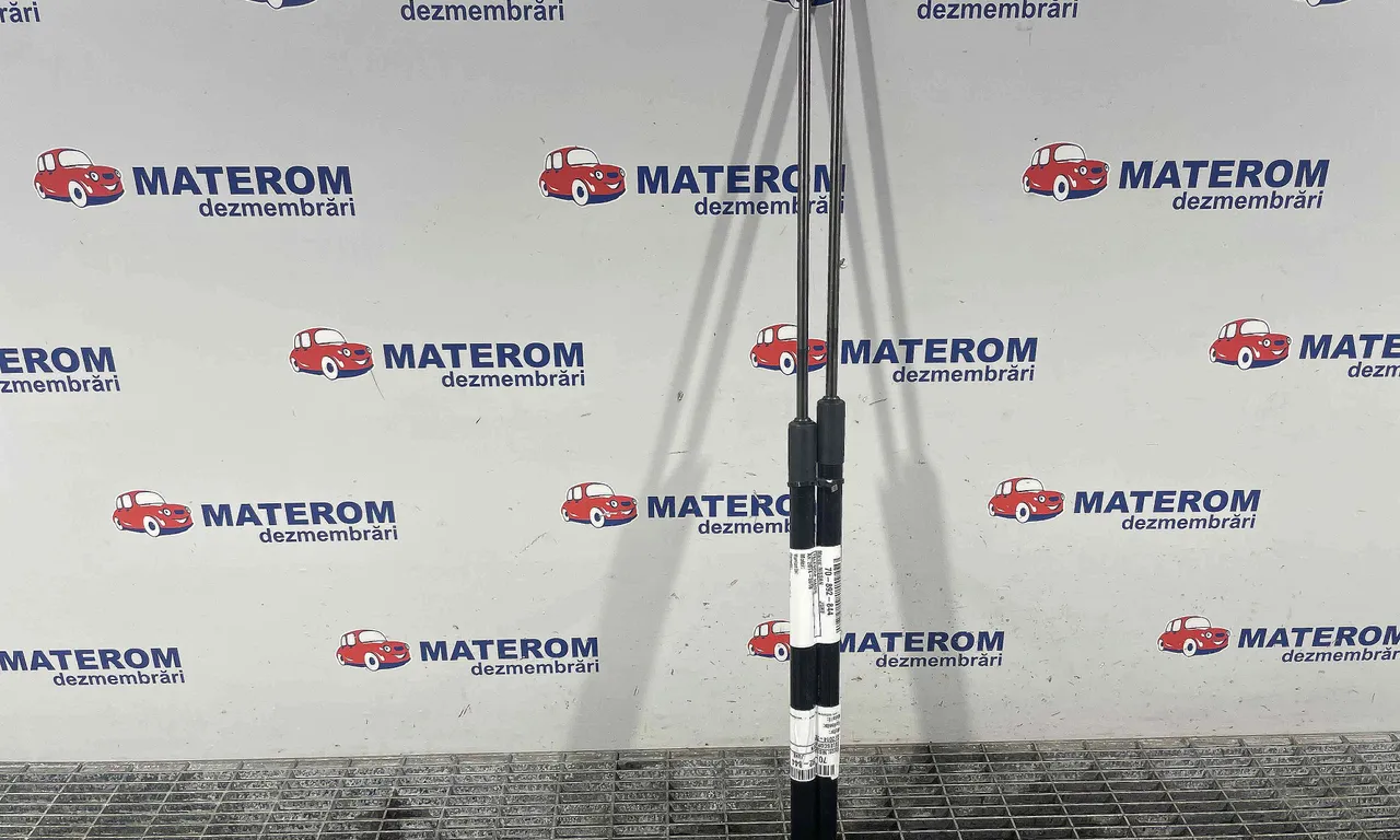 TELESCOP HAION NISSAN JUKE 2010-2019