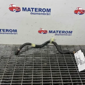 CONDUCTA COMBUSTIBIL
