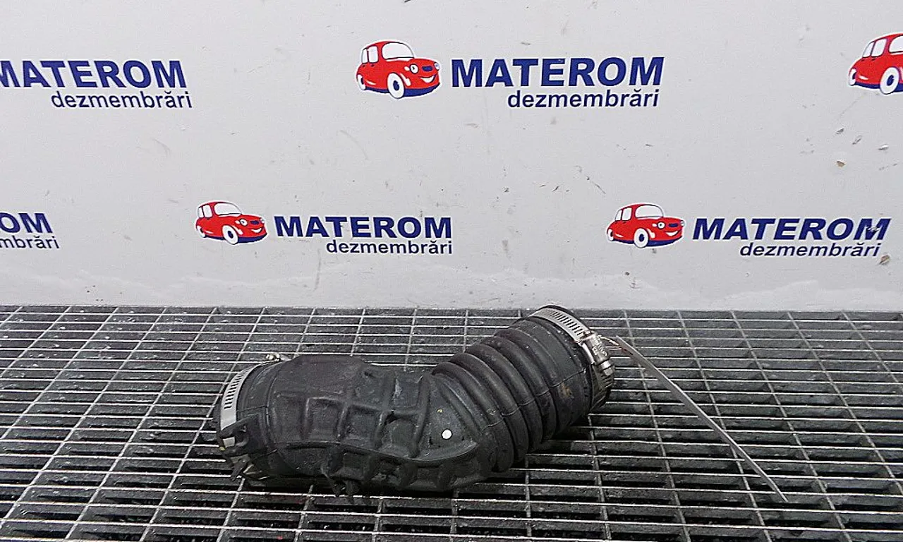 FURTUN ADMISIE AER NISSAN JUKE 2010-2019