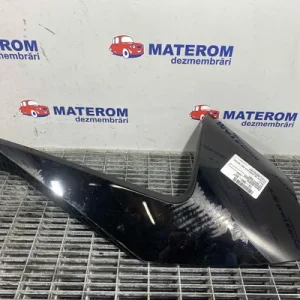 ORNAMENT HAION