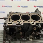 BLOC MOTOR NISSAN NAVARA 3.0 dCi 2004-2013 oe-1010200Q6J, vedere laterala