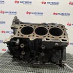 BLOC MOTOR NISSAN NAVARA 3.0 dCi 2004-2013 oe-1010200Q6J, vedere frontata