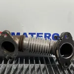 TEAVA EGR
