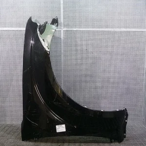ARIPA FATA DREAPTA