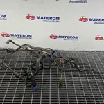 CONDUCTA COMBUSTIBIL