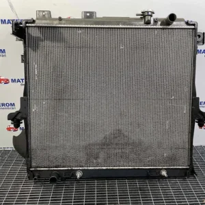 RADIATOR MOTOR