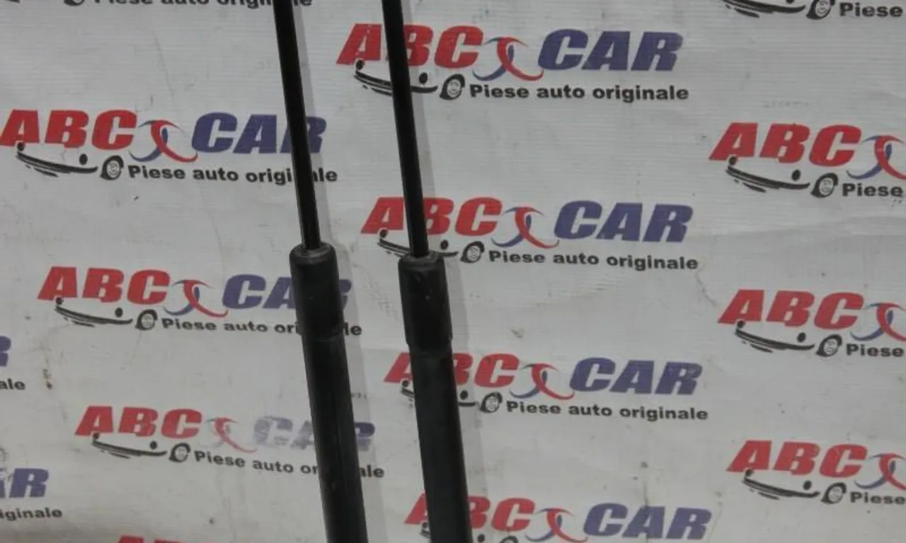 Amortizor haion NISSAN QASHQAI I 2006-2015