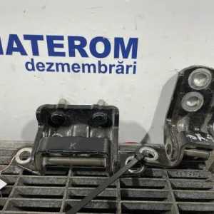 BALAMA USA SPATE