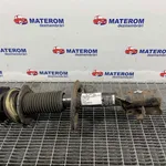 TELESCOP FATA DREAPTA NISSAN QASHQAI I 2.0 dCi 2006-2015 oe-E4302BR24A, vedere laterala