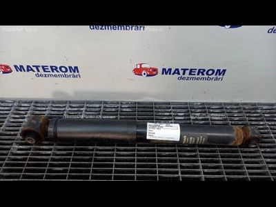 TELESCOP SPATE NISSAN QASHQAI I 1.6 dCi 2006-2015 oe E6210BR04A, vedere frontata