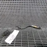 SONDA LAMBDA NISSAN QASHQAI I 1.6 DCI 2006-2015 oe-281004187, vedere frontata