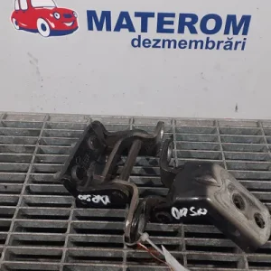 BALAMA USA SPATE
