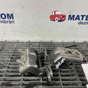 BALAMA USA SPATE