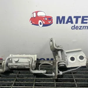 BALAMA USA SPATE