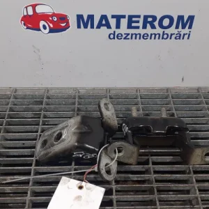 BALAMA USA SPATE