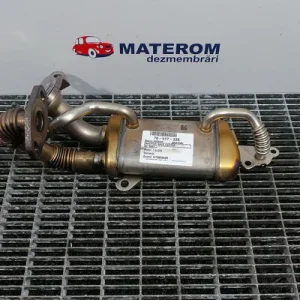 RACITOR GAZE CARTER