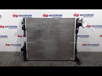 RADIATOR MOTOR