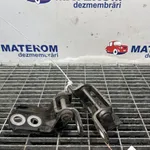 BALAMA USA SPATE