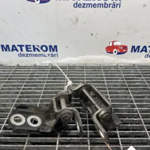 BALAMA USA SPATE